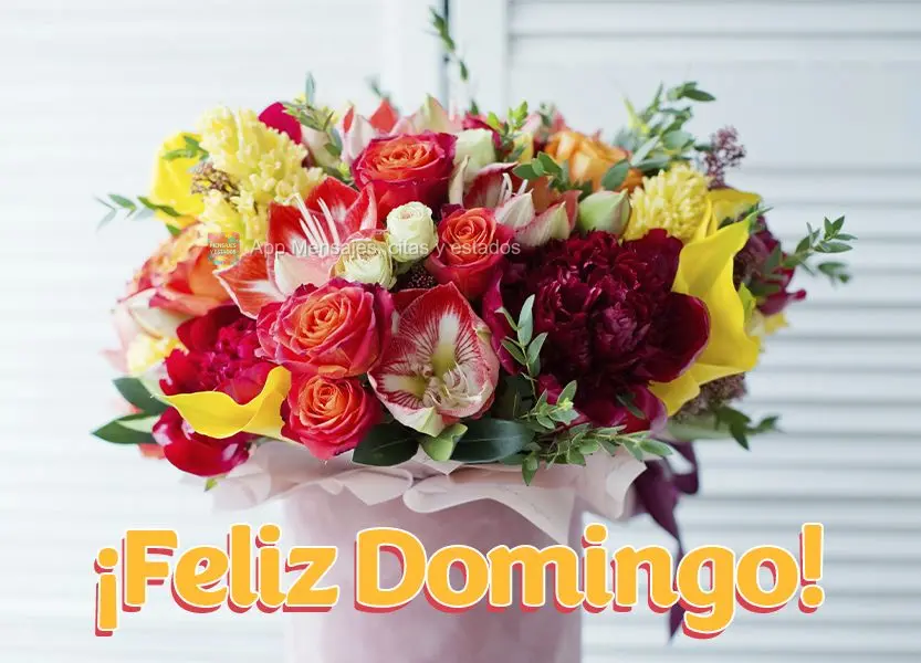 ¡Feliz Domingo!
