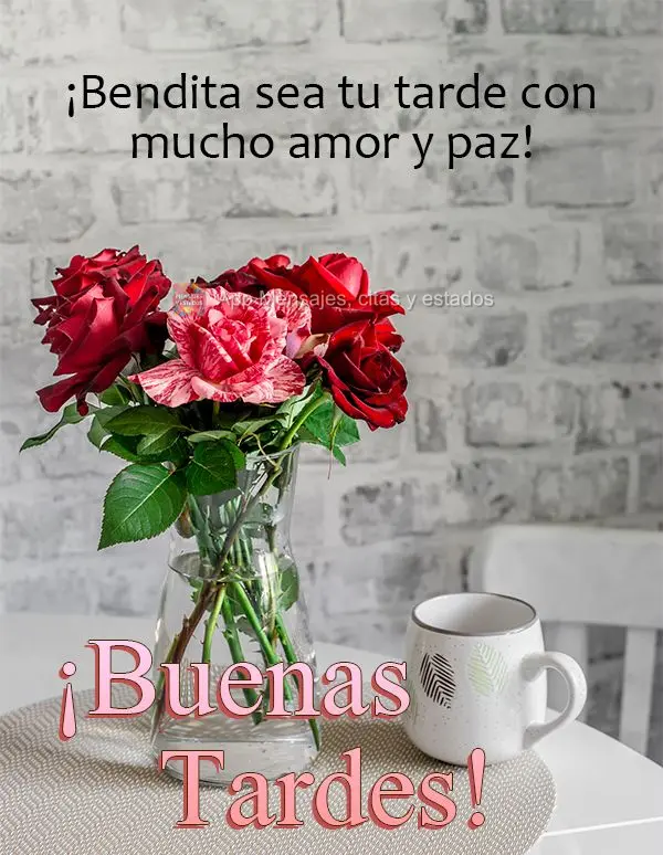 Abençoada seja a sua tarde com muito amor e paz! Boa tarde!