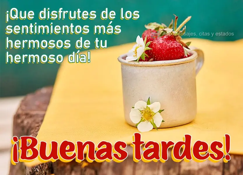 Que você possa desfrutar dos sentimentos mais bonitos do seu lindo dia! Boa tarde! 
