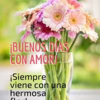 Bom dia com amor! Sempre vem acompanhado de uma linda flor!