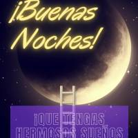 Tenha lindos sonhos e uma noite de paz! Boa noite!