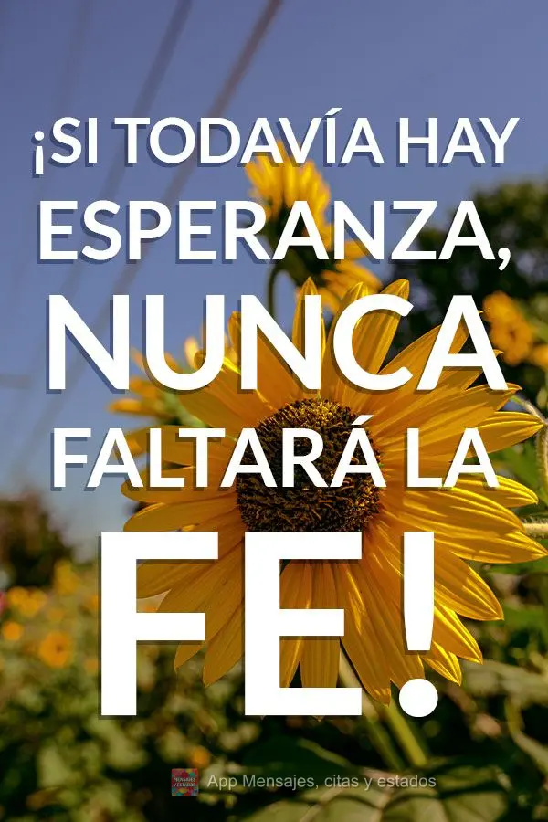 ¡Si todavía hay esperanza, nunca faltará la fe!