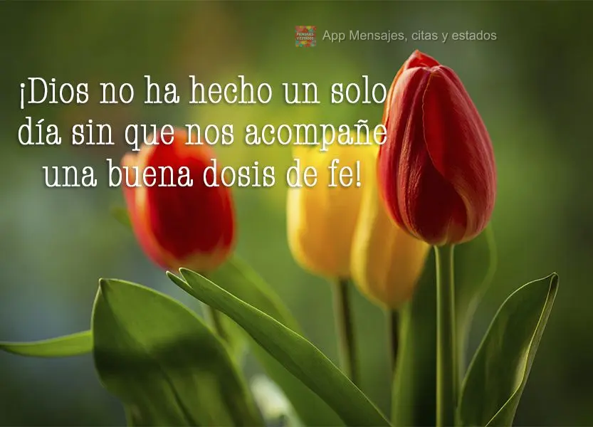 ¡Dios no ha hecho un solo día sin que nos acompañe una buena dosis de fe!