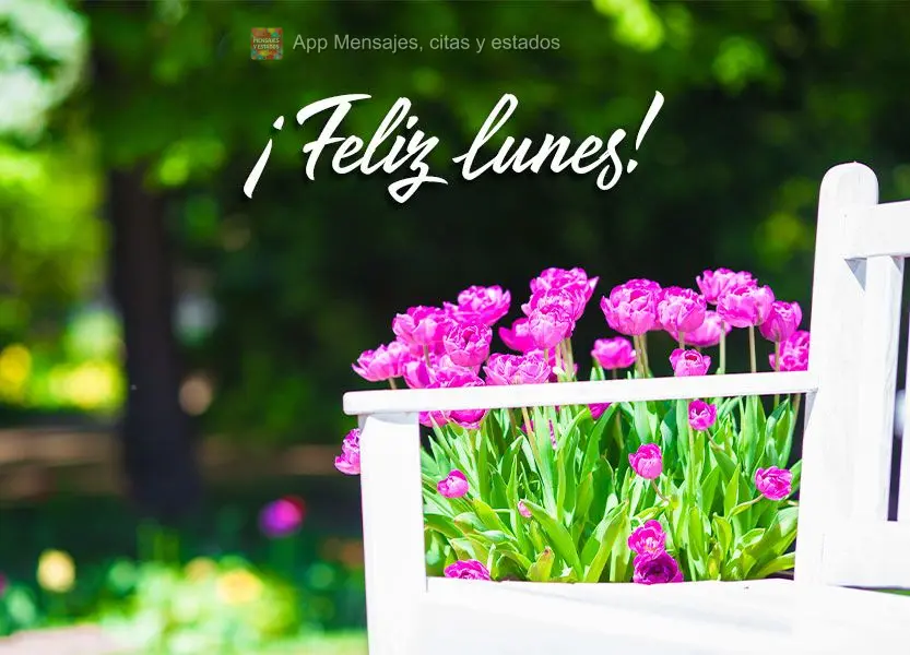 ¡Feliz lunes!