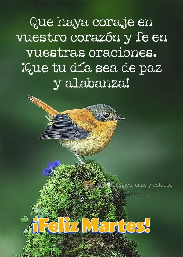 Que haya coraje en vuestro corazón y fe en vuestras oraciones. ¡Que tu día sea de paz y alabanza! ¡Feliz martes!