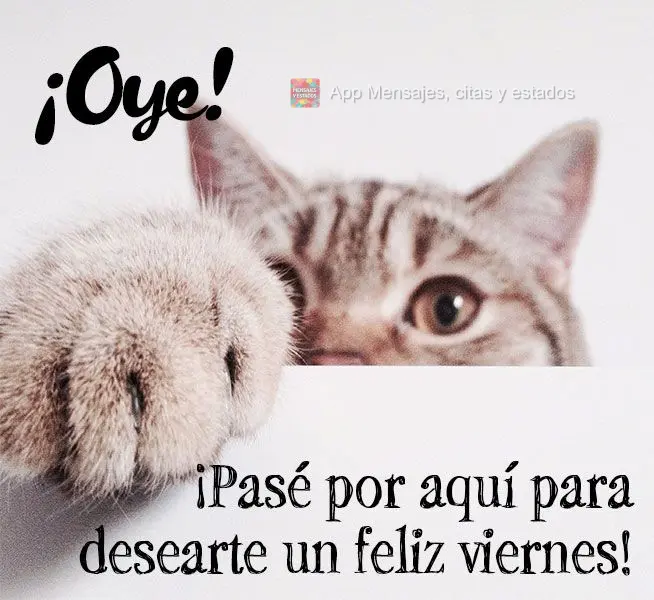 Oi! Passei pra desejar uma feliz Sexta-feira!