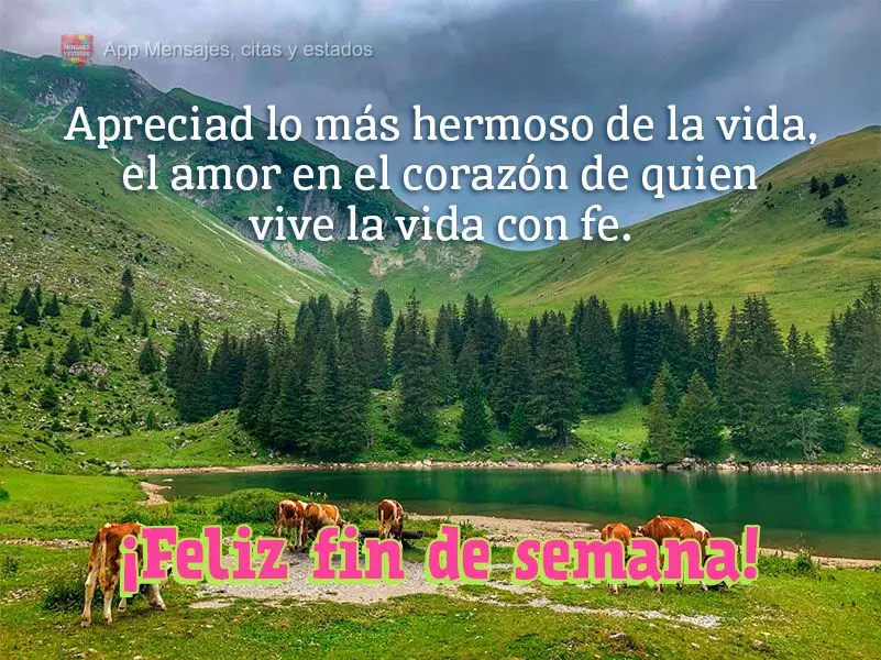 Apreciad lo más hermoso de la vida, el amor en el corazón de quien vive la vida con fe. ¡Feliz fin de semana!