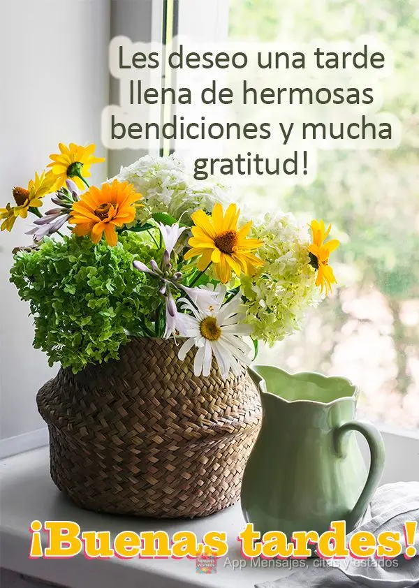 Desejo uma tarde plena de lindas bênçãos e muita gratidão! Boa tarde!
