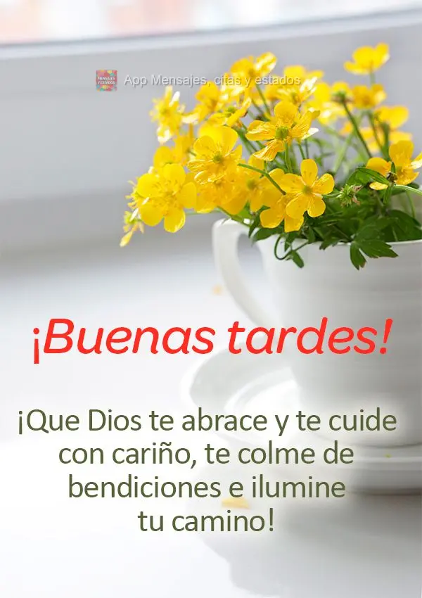 Que Deus possa lhe abraçar e cuidar de você com carinho, te encher de bênçãos e iluminar o seu caminho! Boa tarde!