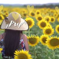 Se prepare, coisas boas estão por vir!