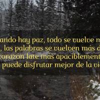 Quando há paz, tudo fica mais leve. As palavras se tornam mais doces, o coração bate mais tranquilo e pode-se aproveitar melhor a vida.