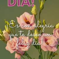É com alegria que eu desejo a você um feliz dia! Bom dia!