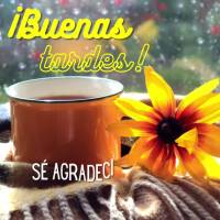 Seja grato por esta linda tarde! Boa tarde!