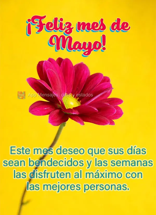 Neste mês desejo que seus dias sejam abençoados e as semanas aproveitadas ao máximo junto das melhores pessoas. Feliz Mês de Maio!