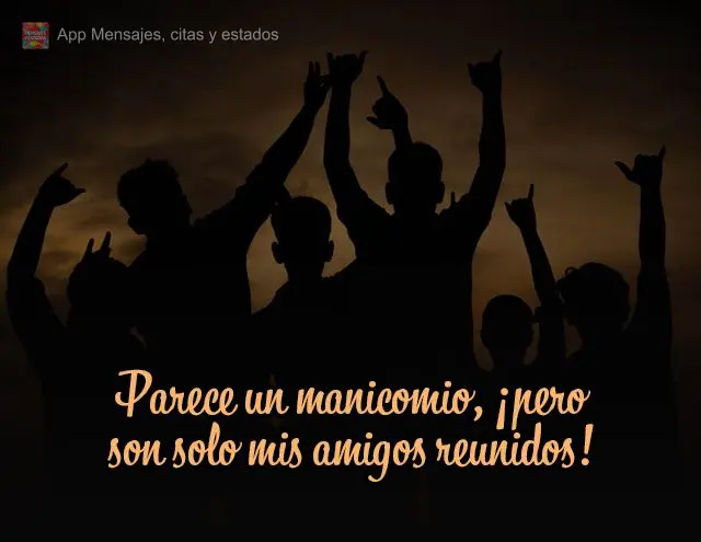 Parece un manicomio, ¡pero son solo mis amigos reunidos!