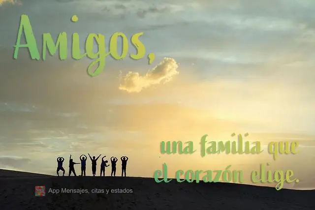 una familia que el corazón elige. Amigos,