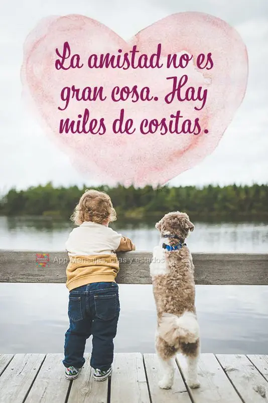 La amistad no es gran cosa. Hay miles de cositas.