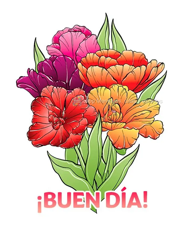 ¡Buen día!