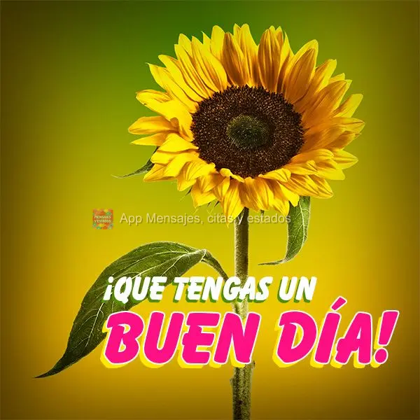 Que você tenha um bom dia!