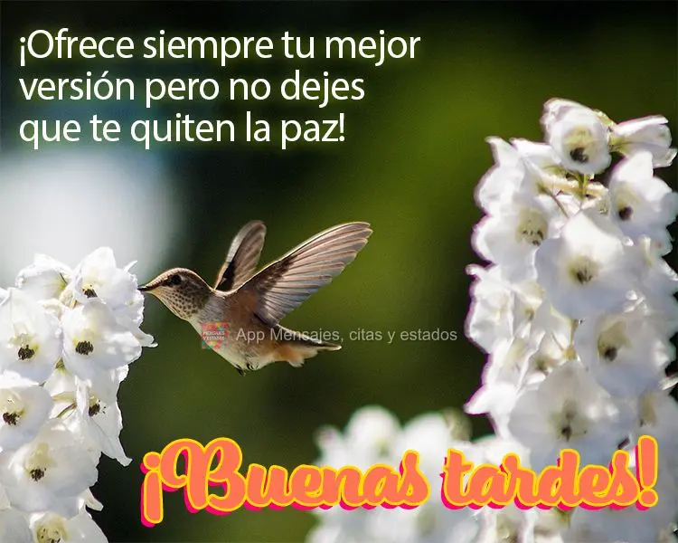 Ofereça sempre a sua melhor versão mas não deixe que tirem a sua paz! Boa tarde!