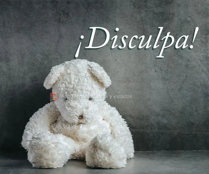 ¡Disculpa!