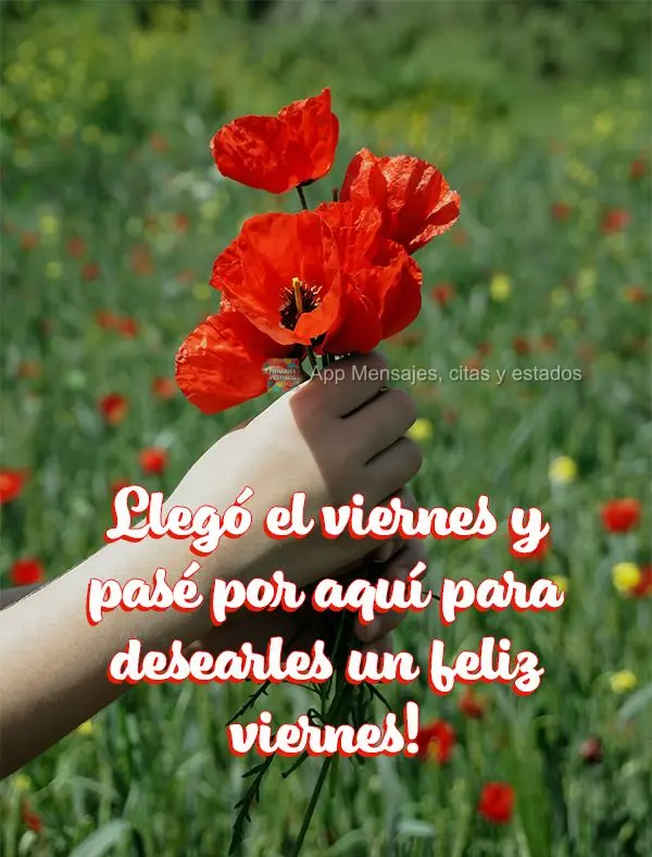 Sexta-feira chegou e eu passei aqui para lhe desejar uma feliz Sexta!