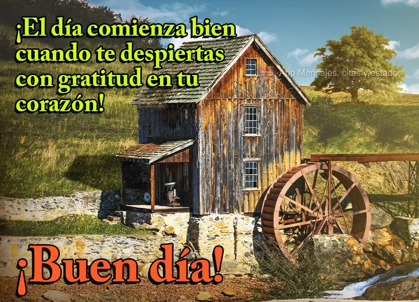 O dia começa bom quando se acorda com gratidão no coração! Bom dia!