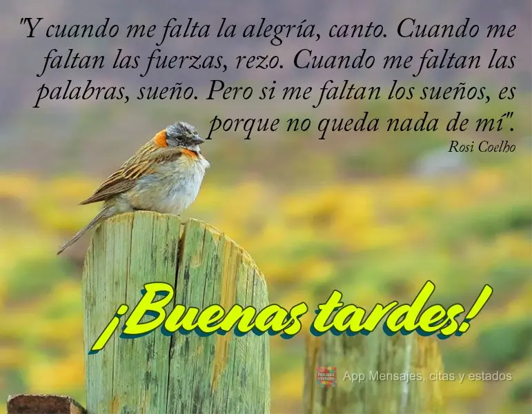 "E quando me falta alegria, eu canto. Quando falta força, eu rezo. Quando me faltam palavras, eu sonho. Mas se me faltarem sonhos, é porque não sobrou...