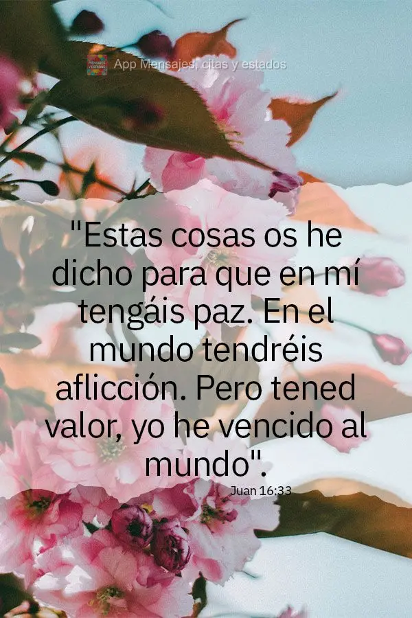 "Estas cosas os he dicho para que en mí tengáis paz. En el mundo tendréis aflicción. Pero tened valor, yo he vencido al mundo". Juan 16:33