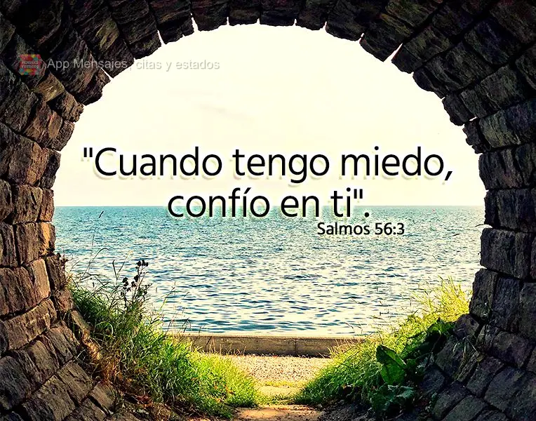 "Cuando tengo miedo, confío en ti". Salmos 56:3