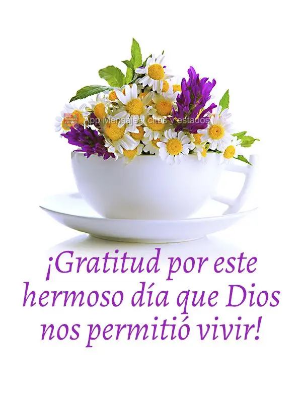 ¡Gratitud por este hermoso día que Dios nos permitió vivir!