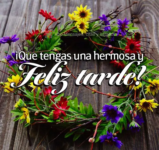 Tenha uma linda e Feliz tarde!