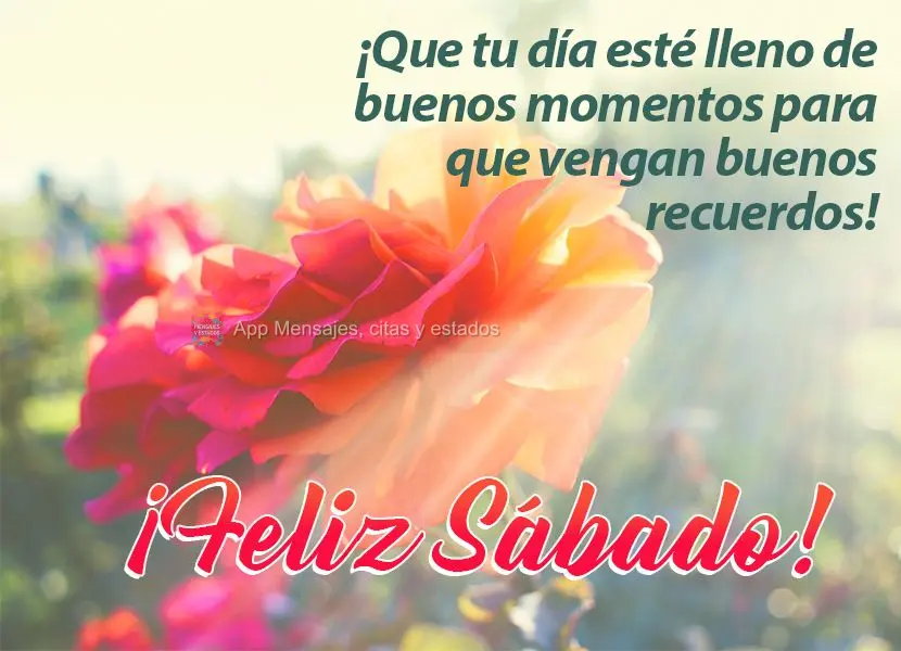 ¡Que tu día esté lleno de buenos momentos para que vengan buenos recuerdos! ¡Feliz Sábado!