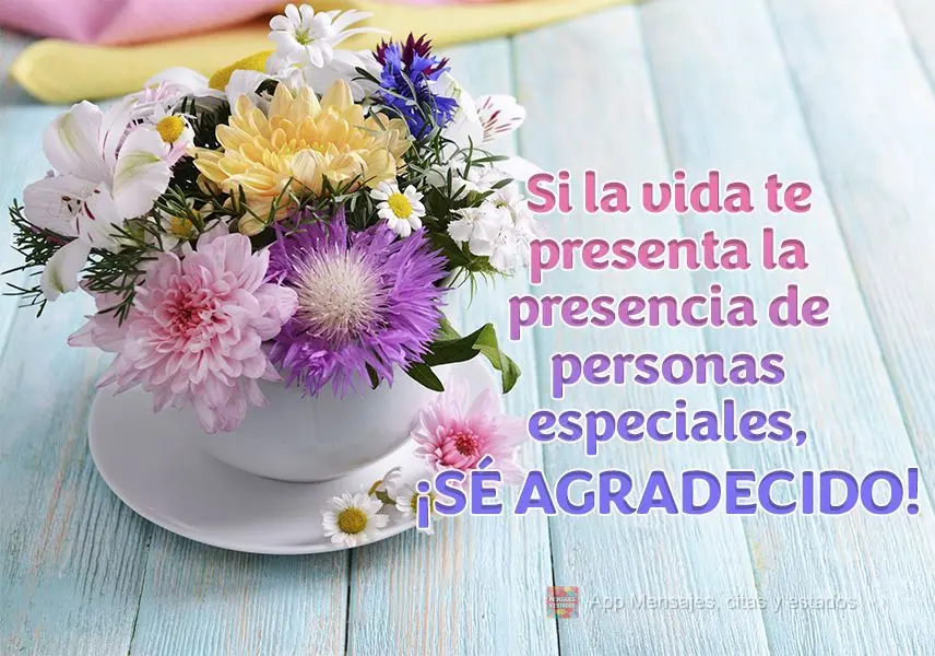 Si la vida te presenta la presencia de personas especiales, ¡sé agradecido!