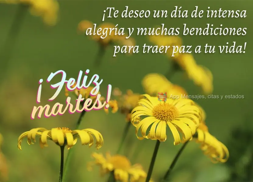 ¡Te deseo un día de intensa alegría y muchas bendiciones para traer paz a tu vida! ¡Feliz martes!