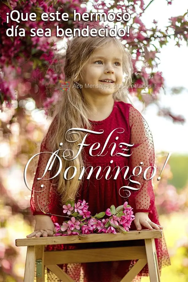 ¡Que este hermoso día sea bendecido! ¡Feliz Domingo!