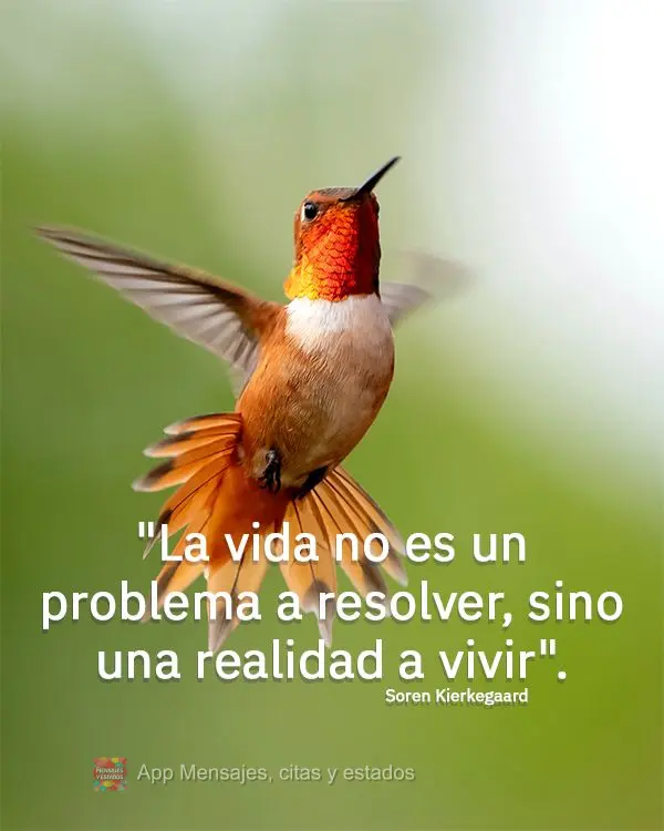 "La vida no es un problema a resolver, sino una realidad a vivir". Soren Kierkegaard