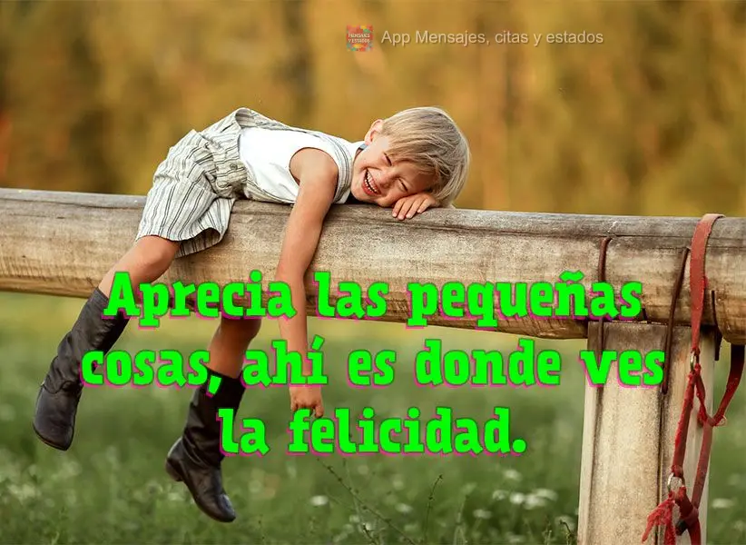 Aprecia las pequeñas cosas, ahí es donde ves la felicidad.