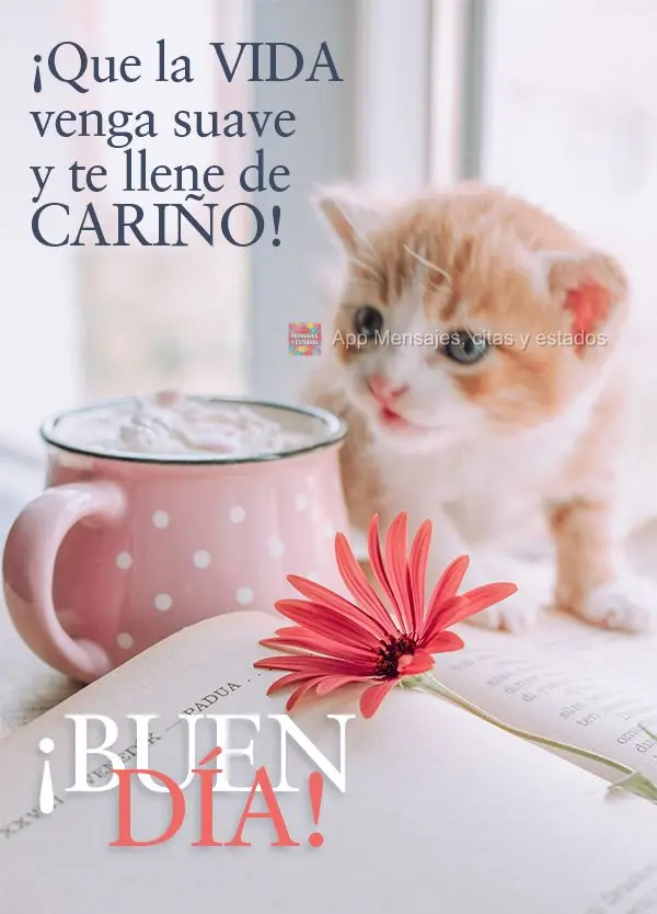 Que a vida venha de mansinho e te encha de carinho! Bom dia!