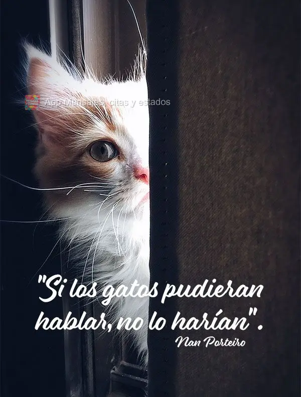 "Si los gatos pudieran hablar, no lo harían". Nan Porteiro