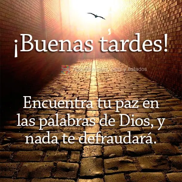 Encuentra tu paz en las palabras de Dios, y nada te defraudará. ¡Buenas tardes!