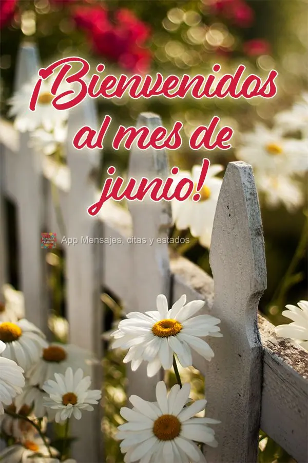 Seja Bem-Vindo ao Mês de Junho!