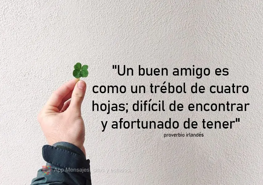 "Un buen amigo es como un trébol de cuatro hojas; difícil de encontrar y afortunado de tener". proverbio irlandés 