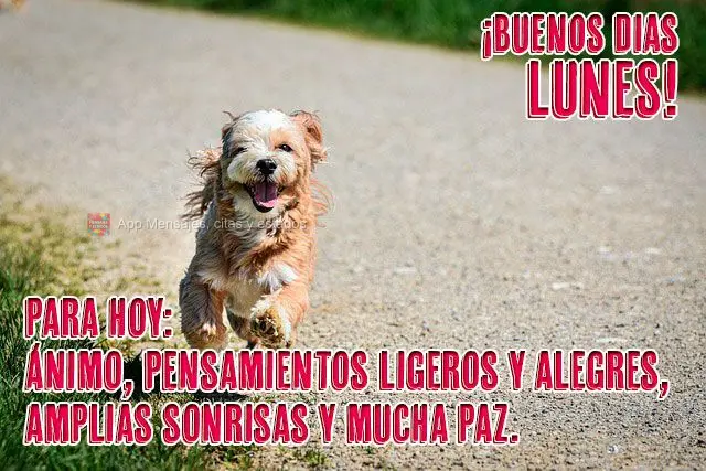 Para hoy Ánimo, pensamientos ligeros y alegres, amplias sonrisas y mucha paz. ¡Buenos dias lunes!