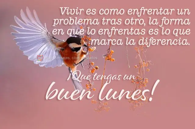 Viver é como enfrentar um problema atrás do outro, o modo como você o encara é que faz a diferença.  Tenha uma boa segunda-feira! 
