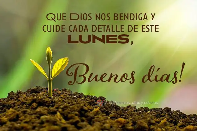 Que Dios nos bendiga y cuide cada detalle de este lunes, buenos días!