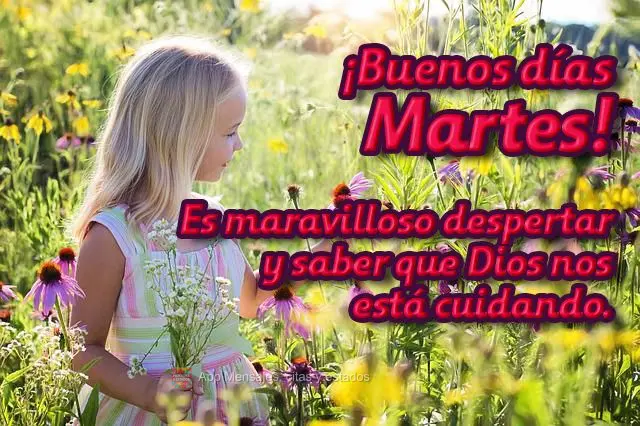Es maravilloso despertar y saber que Dios nos está cuidando. ¡Buenos días martes!