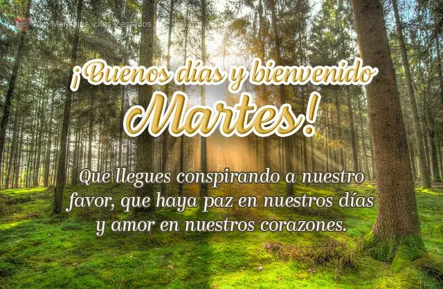 Que llegues conspirando a nuestro favor, que haya paz en nuestros días y amor en nuestros corazones. ¡Buenos días y bienvenido martes!