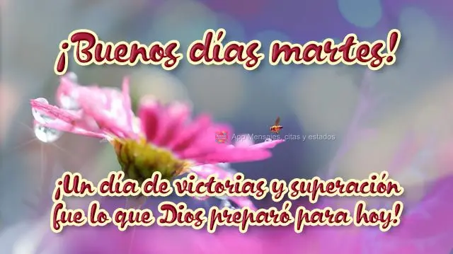 ¡Un día de victorias y superación fue lo que Dios preparó para hoy! ¡Buenos días martes!