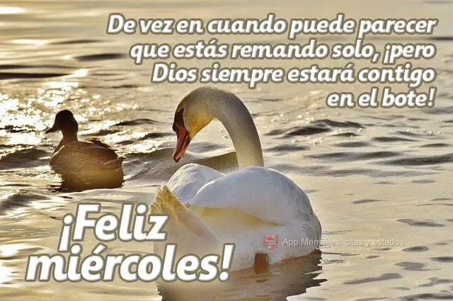 De vez em quando pode parecer que você está remando sozinho, mas Deus estará sempre contigo no barco!  Feliz Quarta-feira!